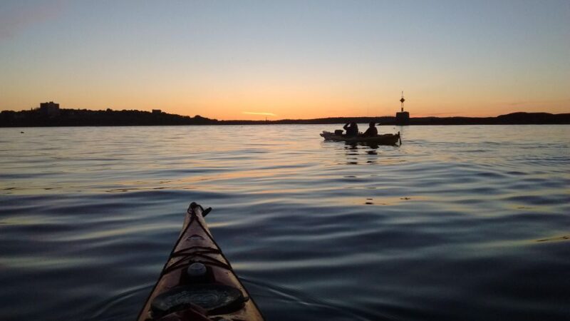 Portland, Maine: Sunset Kayak Tour with a Guide - Wildlife and Landmarks Along Casco Bay