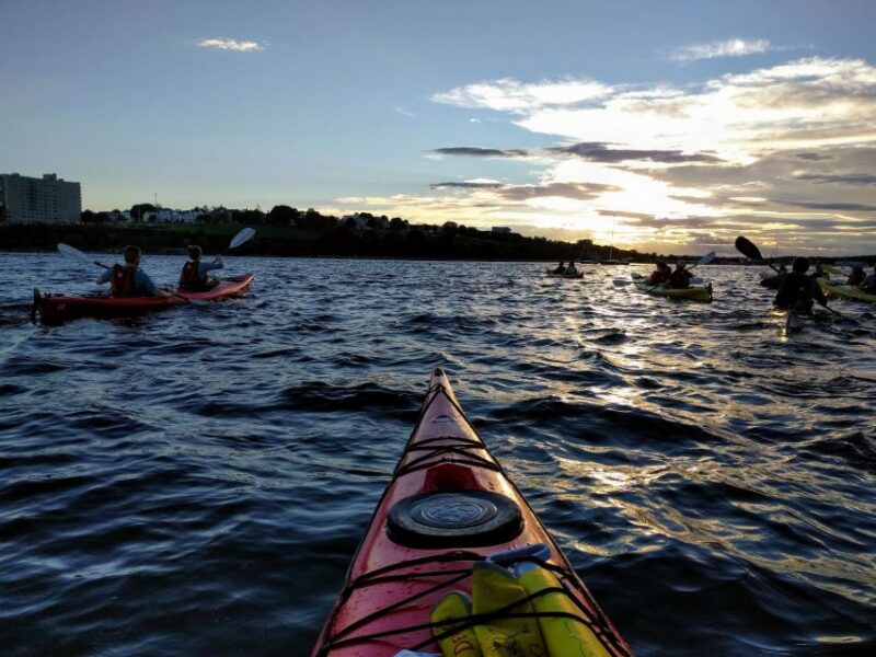 Portland, Maine: Sunset Kayak Tour with a Guide - The Paddling Experience and Pacing