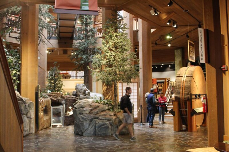 Portland: Morning City Highlights Tour - Iconic Views from Washington Park and the Rose Garden