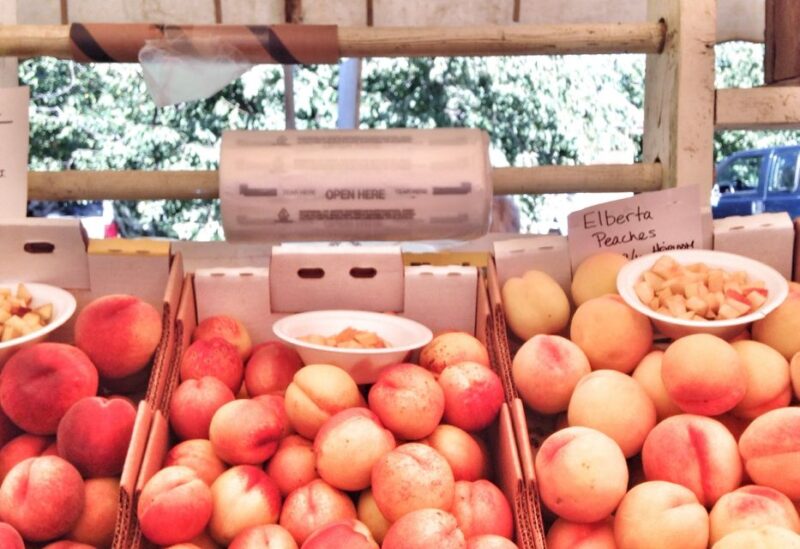 Portland: Mt. Hood Day Tour - The Guide and Overall Experience