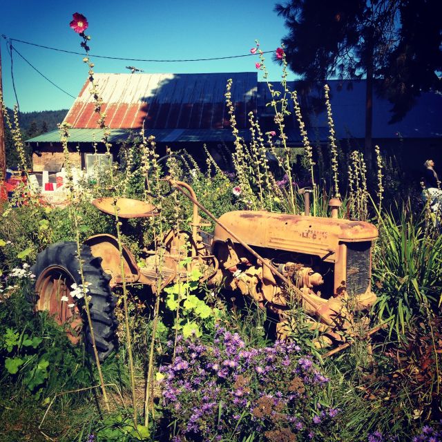 Portland: Mt. Hood Day Tour - Final Thoughts on the Portland: Mt. Hood Day Tour