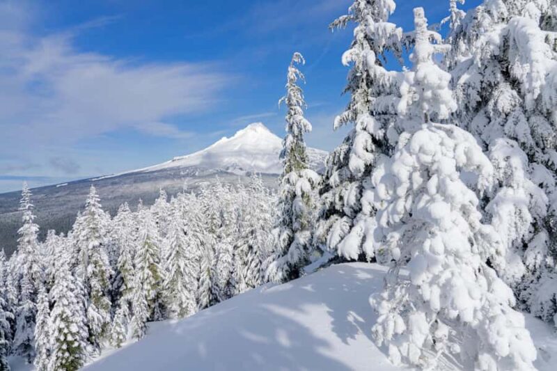 Portland: Mt. Hood Snowshoe Adventure with Lunch - Enjoying a Hot Lunch in the Snow