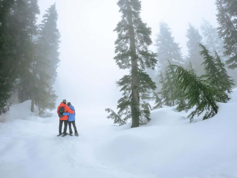 Portland: Mt. Hood Snowshoe Adventure with Lunch - Logistics: Pickup, Gear, and Group Size