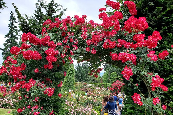 Portland, Oregon City Tour! - Glimpses of Portland’s Artistic and Historic Districts