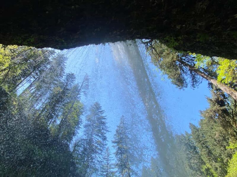 Portland Oregon: Silver Falls State Park Waterfall Hike - Explore Waterfalls and Ancient Trees on a Guided Hike from Portland