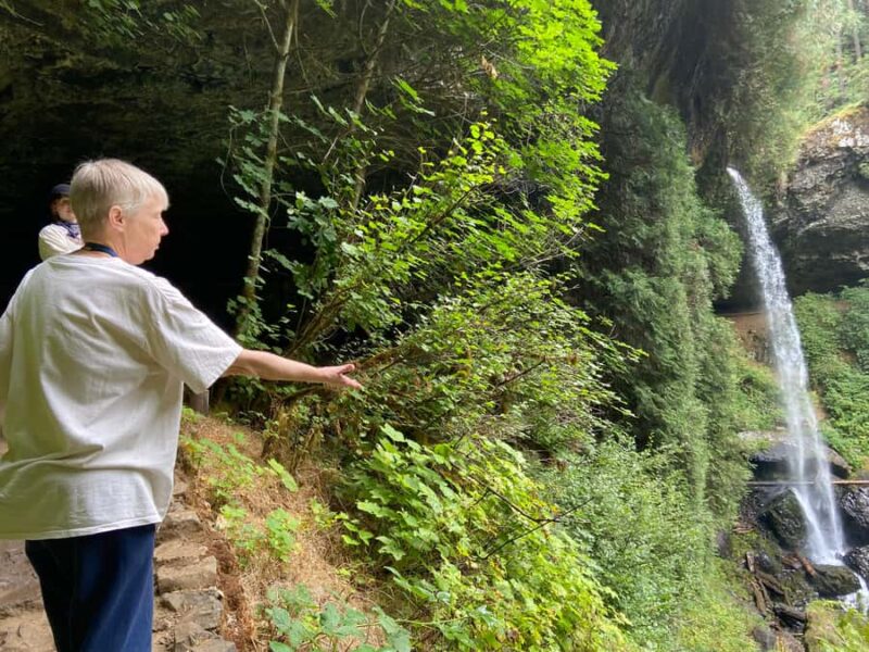 Portland Oregon: Silver Falls State Park Waterfall Hike - Comparing Similar Waterfall Tours and Day Trips