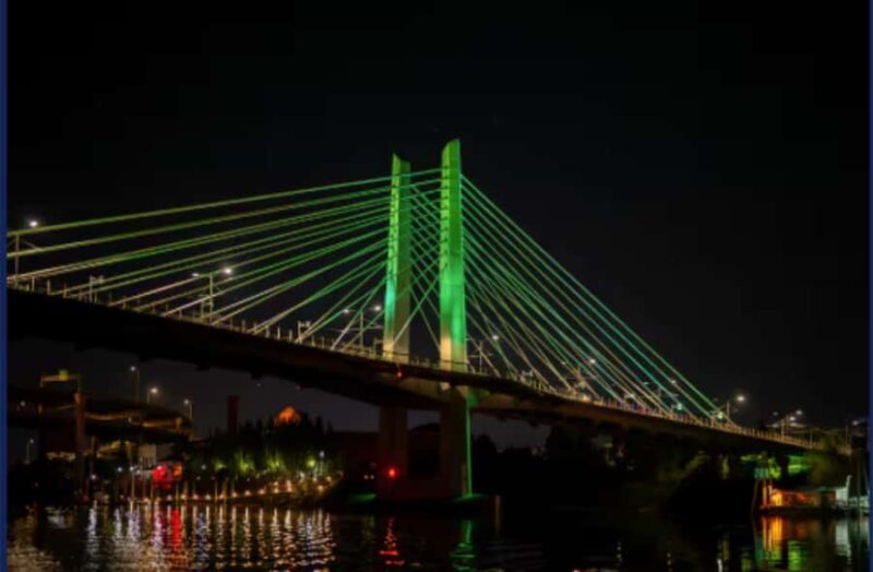 Portland: Private Pontoon Cruise on the Willamette River - Custom River Voyage for Special Occasions