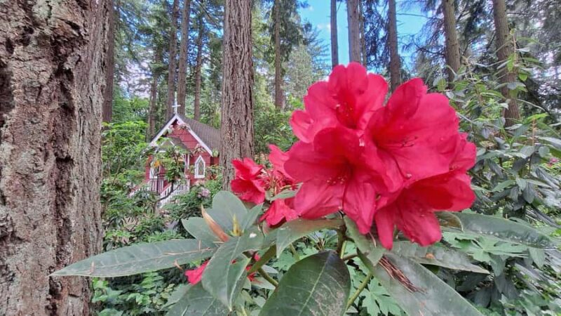 Portland: The Grotto Trip - The Peaceful Atmosphere and Natural Beauty