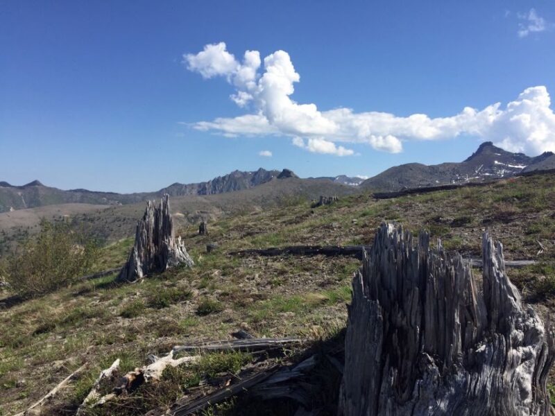 Portland: The Mt. St. Helens Adventure Tour - Descending into Ape Cave: North America’s Longest Lava Tube