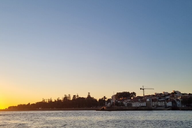 Porto: 2h Private Tour (1 to 6 people) on the Douro River with a local - Guide and Crew: Local Expertise and Friendly Service