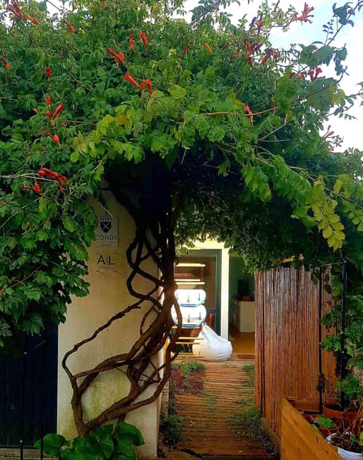 Porto: 3-Day Surf Camp with Accommodation and Transfers - Guided Surf Sessions with Qualified Instructors