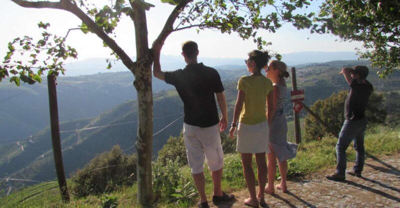 Porto: 3 Douro Valley Vineyards Tour with Lunch - Exploring the First Family-Owned Vineyard in Sabrosa