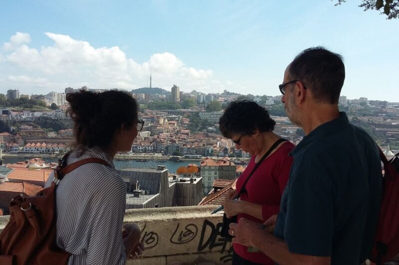 Porto: 3-Hour Downtown Walking Tour - Practical Details and Tour Logistics