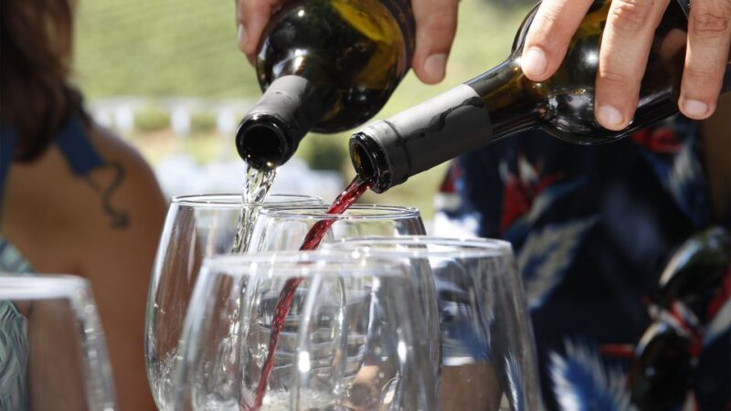 Porto: 3 Wine Regions & Farm Lunch with Views Small-Group - Starting Point and Transportation in Comfort