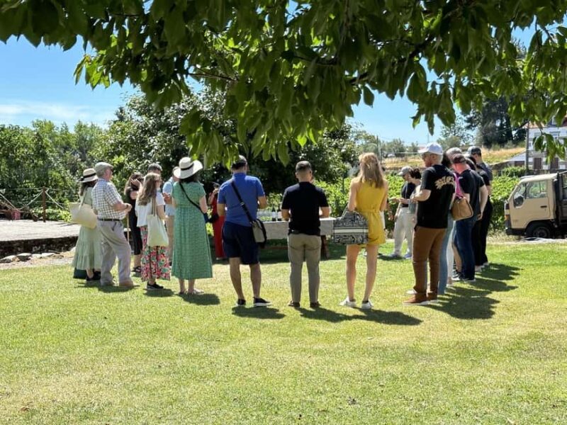 Porto: 3 Wine Regions & Farm Lunch with Views Small-Group - Scenic Highlights and Photo Stops