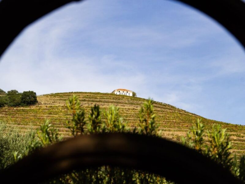 Porto: 3 Wine Regions & Farm Lunch with Views Small-Group - Farm-to-Table Lunch with Vineyard Views