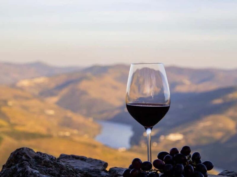 Porto: 3 Wine Regions & Farm Lunch with Views Small-Group - Expertise of Guides and Personal Touch