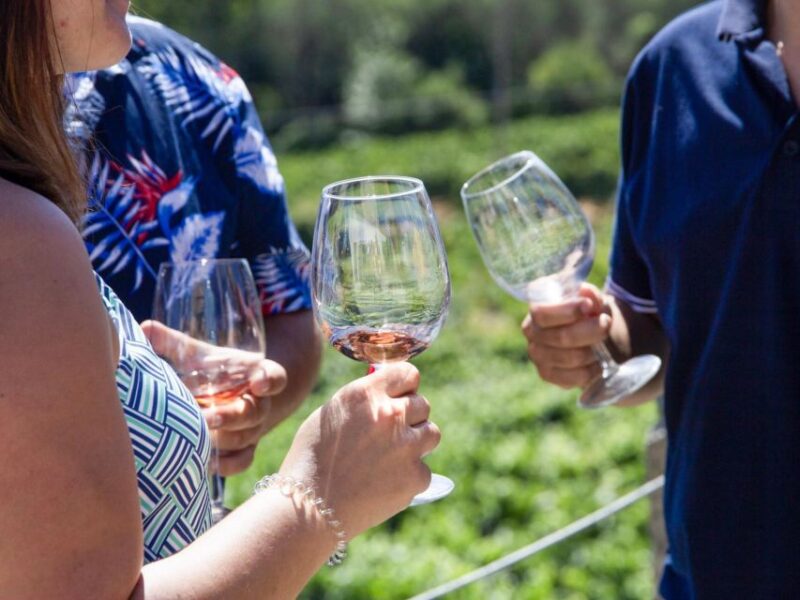 Porto: 3 Wine Regions & Farm Lunch with Views Small-Group - Weather Considerations and Packing Tips