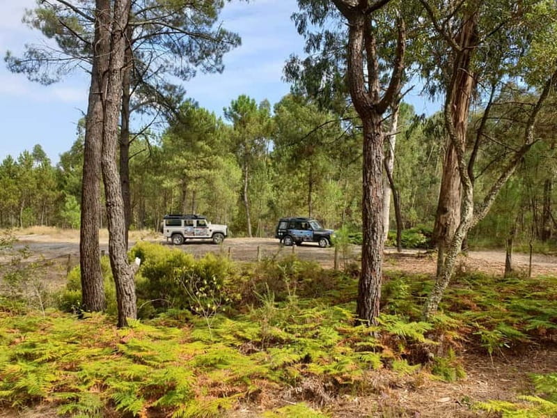 Porto: 4x4 Mountain Tour - Sampling Local Drinks in the Serras do Porto Natural Park