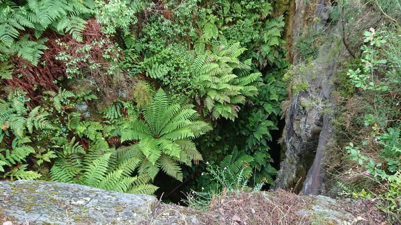 Porto: 4x4 Mountain Tour - Practical Details and Logistics