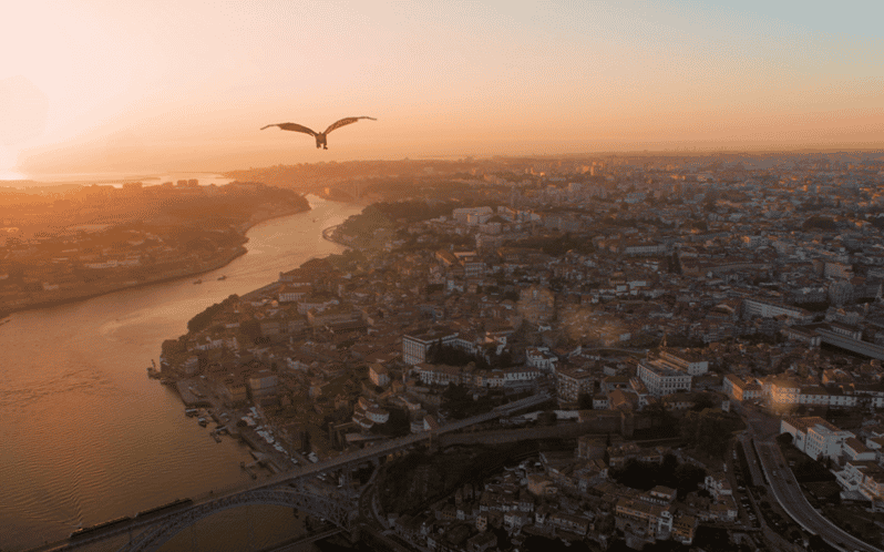 Porto: 5D Flight over de City for all family. - Discover the 5D Flight over Porto for the Whole Family