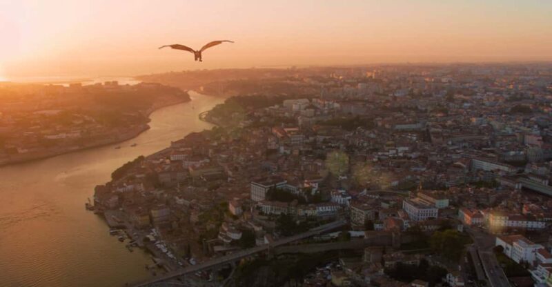 Porto: 5D Flight over de City for all family. - The Location: Rua Sá da Bandeira, in Porto’s City Center