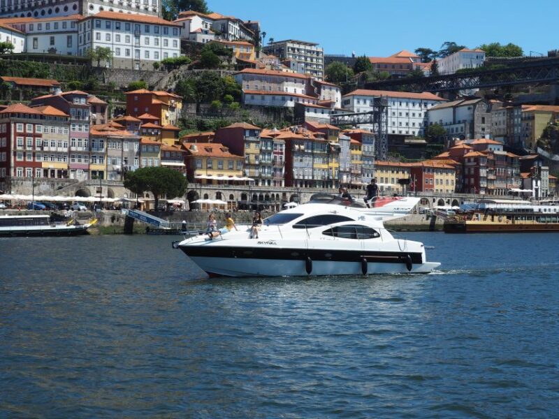 Porto: 6 Bridges Port Wine River Cruise with 4 Tastings - What Makes the Bridge Views Special