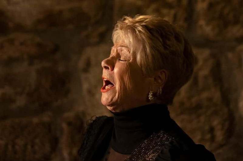 Porto: An Intimate Fado Show in a Historical Tavern - Who Will Most Enjoy This Tour?