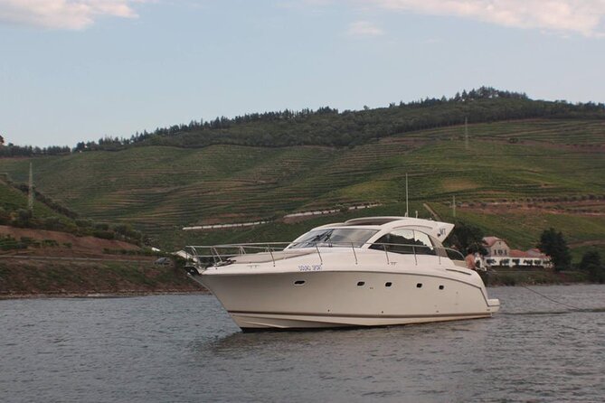 Porto and Douro: Private tour in Yacht - What a Typical Cruise Looks Like