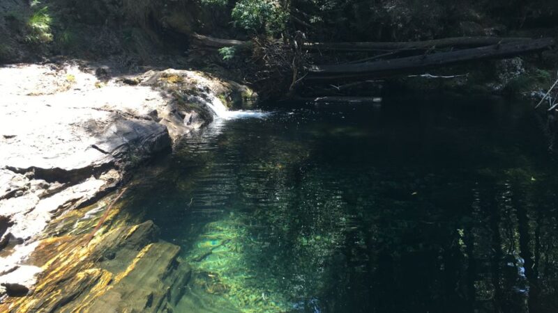 Porto and North coast Exclusive & Secret Waterfalls in 4x4 - Portuguese Gastronomy and Typical Taverna Lunch