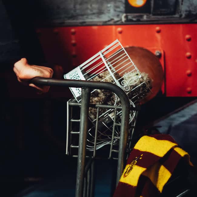 Porto: ArrábidaShopping Wizard School 9 & 3/4 Escape Room - Discover the Magic of Porto’s Wizard School Escape Room