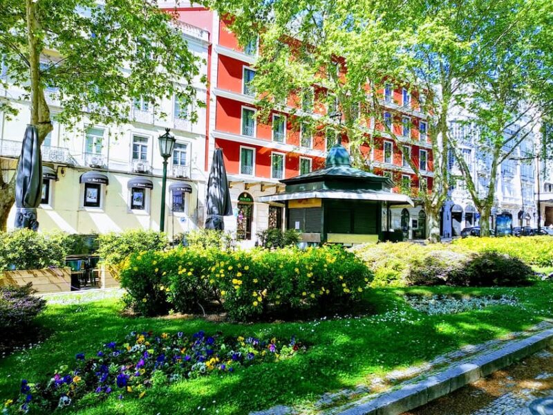 Porto - Braga - Guimarães - Porto Private Tour Half Day - Logistical Details and Comfort of Private Transport