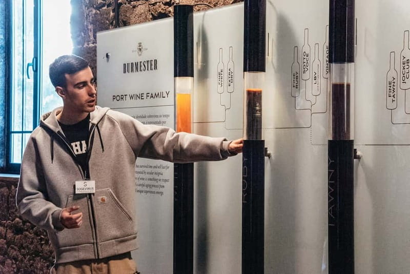 Porto: Bridges Cruise with Option Wine Cellar Tour or Sunset - Exploring Porto’s Bridges: From Arrábida to the 6-Bridge View