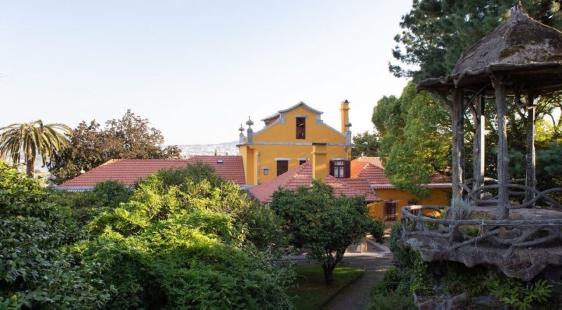 Porto: Casa São Roque Direct Entry Ticket - Discover the 4-Hectare São Roque Park and Its Camellias