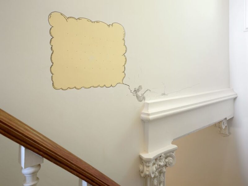 Porto: Casa São Roque Direct Entry Ticket - Practical Information: Visiting Casa São Roque