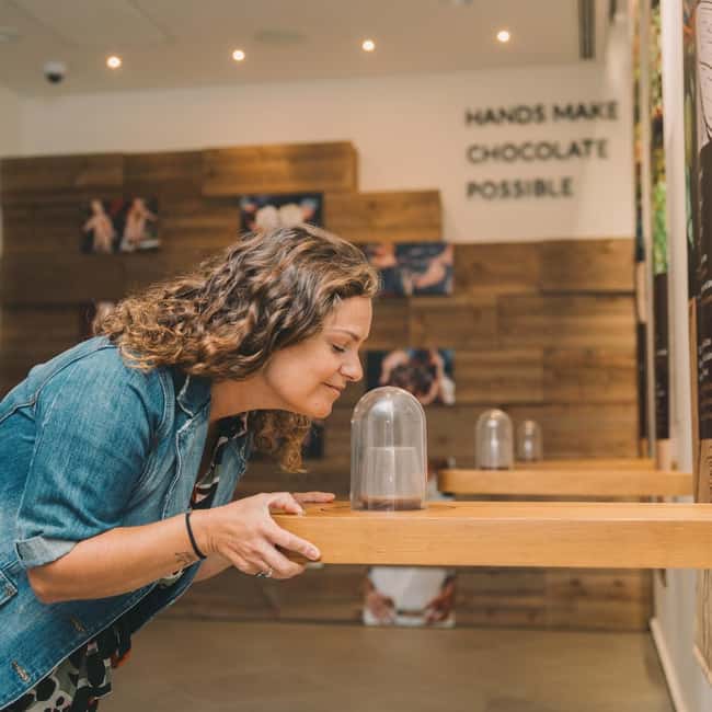 Porto: Chocolate Museum - Unwrap the Secrets of Chocolate - Discover the Origins of Cacao in Ancient Central America