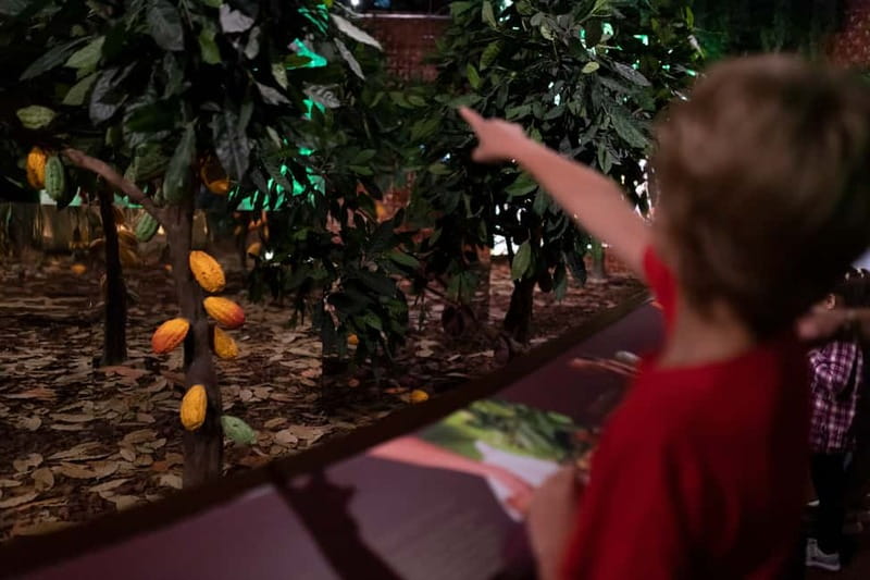 Porto: Chocolate Museum - Unwrap the Secrets of Chocolate - Visiting the Operating Chocolate Factory