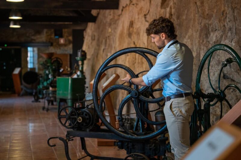 Porto City Full Day Minibus Tour, Wine Tasting & Six Brigdes - Explore Porto’s Historic Heart with a Guided Walking Tour