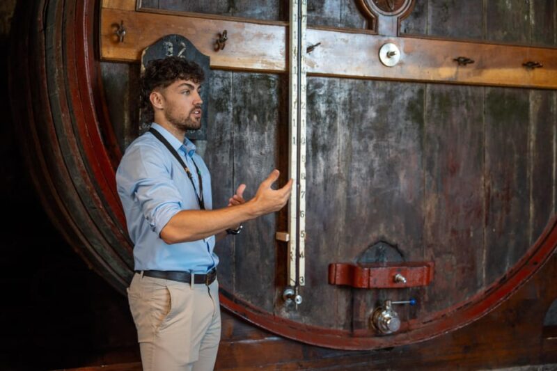 Porto City Full Day Minibus Tour, Wine Tasting & Six Brigdes - Practical Logistics and Group Size