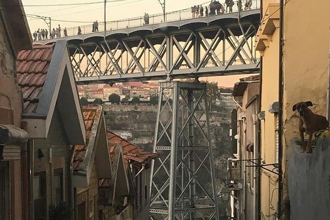 Porto City Private Tour From Lisbon - Climbing the Torre dos Clerigos and Visiting the Church