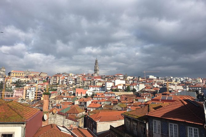 Porto City Private Tour From Lisbon - Lunch Break and Flexibility in the Schedule