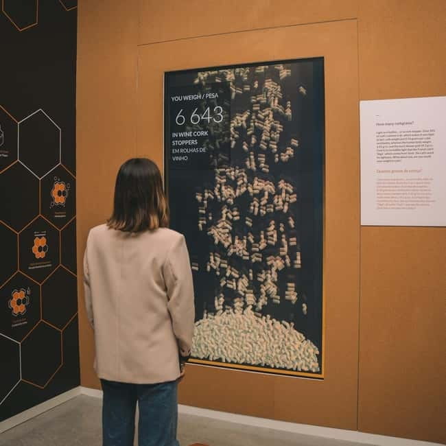 Porto: Cork Museum: Immersive and Perfect for Families - Porto: Cork Museum – An Engaging Look at Cork’s Wonders in Just 1.5 Hours