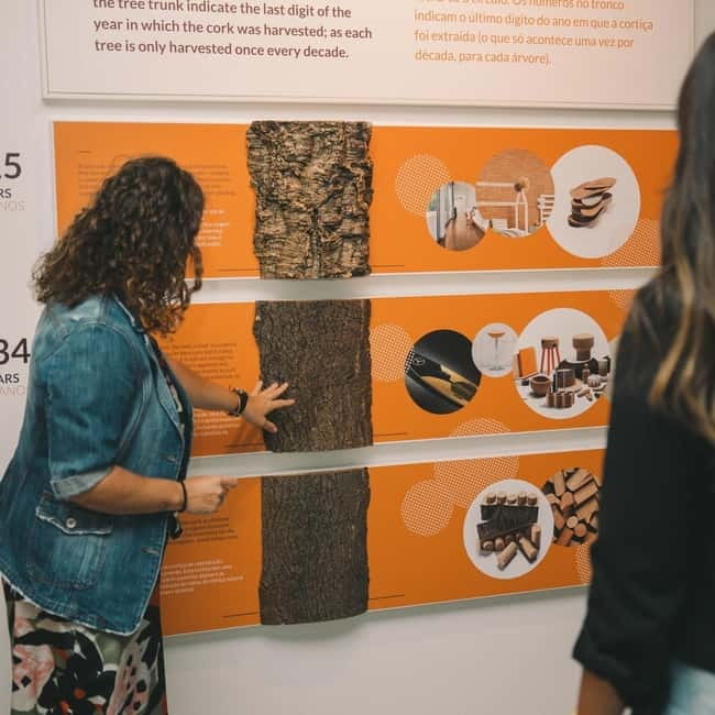 Porto: Cork Museum: Immersive and Perfect for Families - A Personal Touch: Touch, Smell, and Take-Home Cork Experience