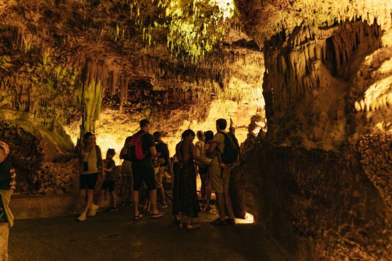 Porto Cristo: Caves of Hams Entry Ticket - Final Thoughts on Visiting the Caves of Hams