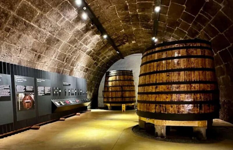 Porto: Cruise, Port Wine Cellars, Fado, and Dinner - Key Points