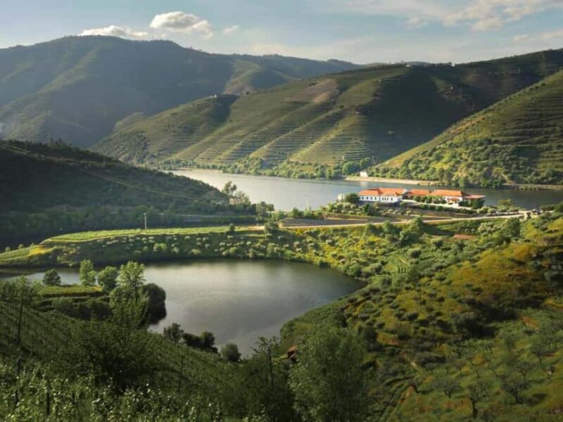 Porto: Dão Wineries Tour with Wine Tasting, Lunch and Cheese - Visiting the Norte Regions Vineyards and Wineries