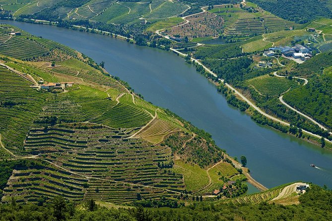 Porto: Day Trip to Douro including lunch and Rivercruise - Scenic River Cruise Along the Douro