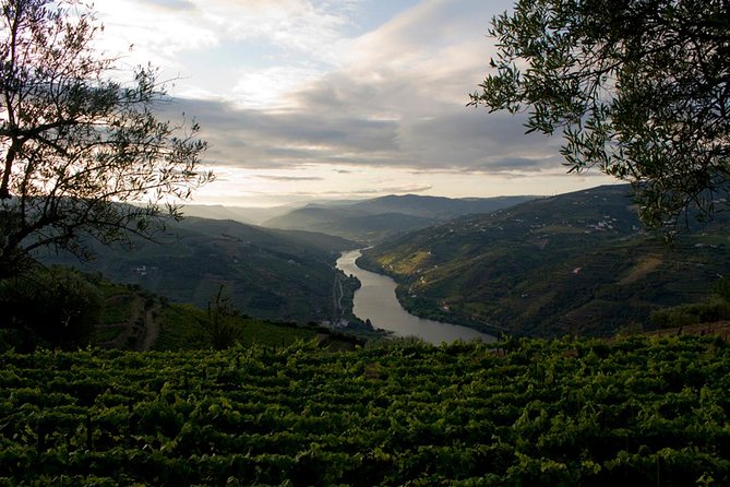 Porto: Day Trip to Douro including lunch and Rivercruise - Small Group Experience and Professional Guides