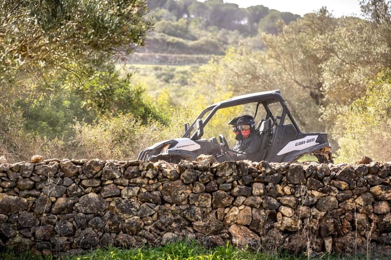 Porto: Dirt and Dust Tour by Oporto Buggy - Cost and Booking Flexibility