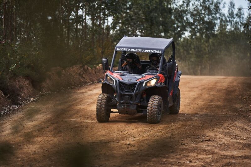 Porto: Dirt and Dust Tour by Oporto Buggy - Comparison with Similar Experiences